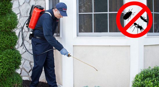 Biga Dezenfeksiyon böcek ilaçlama ve haşere kontrolü — ilaclama-tr.com